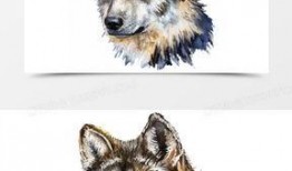 狼狗最新爆料图片高清,神秘生物真实面貌首次曝光